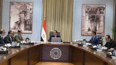 الحكومة: صرف مستحقات توريد القمح خلال 48 ساعة من تاريخ التسليم.. ولدينا مؤشرات جيدة