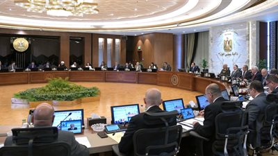 تأكيدا لـ القاهرة 24.. الحكومة توافق على اللائحة التنفيذية لقانون حيازة الحيوانات الخطرة والكلاب