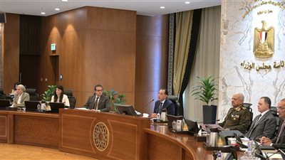 بقرار رئيس الجمهورية.. الحكومة توافق على إنشاء جامعة دمياط الأهلية