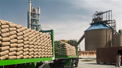 المحكمة الاقتصادية تلزم مصر للإسمنت بسداد 625 ألف جنيه للرئيس السابق لـ برايم القابضة 