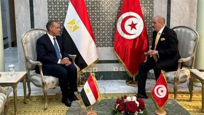 وزير الخارجية يعقد جلسة مباحثات مع نظيره التونسي