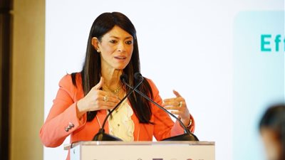 المشاط: ضخ 154 مليون دولار بالمرحلة الأولى من برنامج آلية تمويل الاقتصاد الأخضر لـ130 مشروعًا 