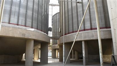 محافظ أسوان يتابع توريد 8869 طن قمح بالصوامع والشون