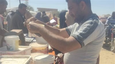 حملات مكثفة علي محلات بيع الفسيخ والمجمدات في الوادي الجديد| صور