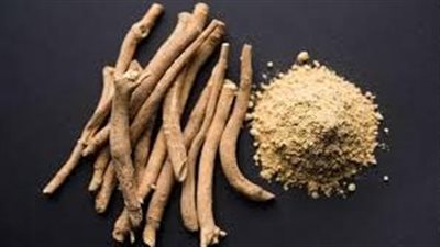 دراسة: تناول الأشواغاندا يعزز قوة الدماغ ويخفف التوتر لمدة ساعة 