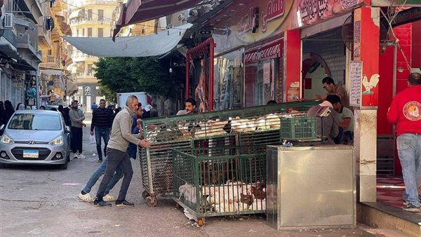 جهود الأجهزة التنفيذية