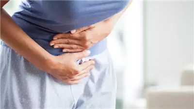 دراسة جديدة: مخلل الملفوف يحصّن الأمعاء من الالتهابات واضطرابات الهضم