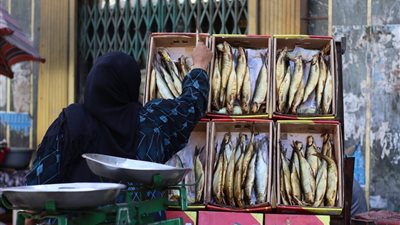 أسعار الأسماك المملحة تزامنا مع شم النسيم.. الرنجة بـ200 جنيه