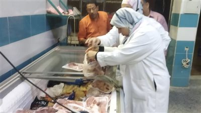 ضبط 153 كيلو أسماك فاسدة في الوادي الجديد خلال حملات رقابية مكثفة