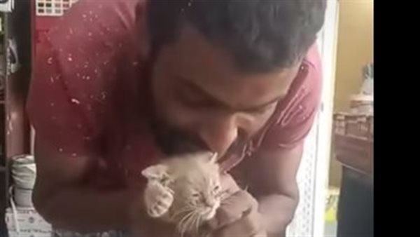 شخص يعذب قطة