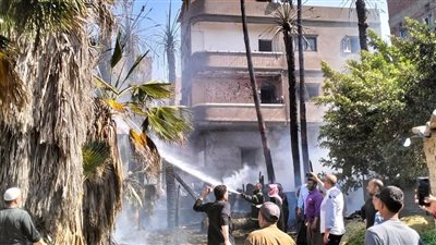 إصابة 4 أشخاص في حريق بنخيل وهيش بكفر الشيخ| صور 