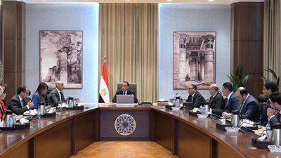 رئيس الوزراء يُتابع مع وزير التربية والتعليم عددًا من ملفات العمل