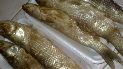 إقبال كبير على شراء الفسيخ والرنجة بالتزامن مع احتفالات شم النسيم | بث مباشر