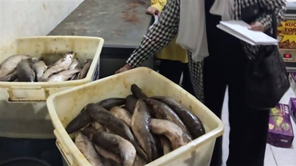 ضبط 1.3 طن من الفسيخ