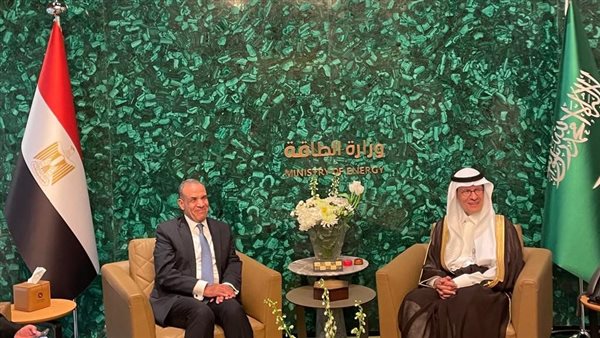 وزير الخارجية يلتقي