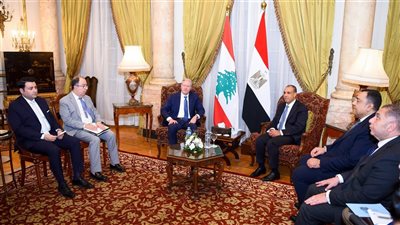 وزير الخارجية ونظيره اللبناني يبحثان التطورات في غزة وسوريا