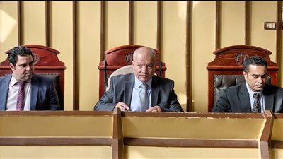 الحكم بالسجن 10 سنوات على متهم بتزوير محررات جمركية ببورسعيد