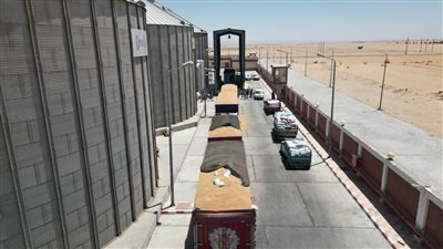 محافظ الوادي الجديد: توريد أكثر من 54 ألف طن قمح بصوامع المحافظة وخارجها