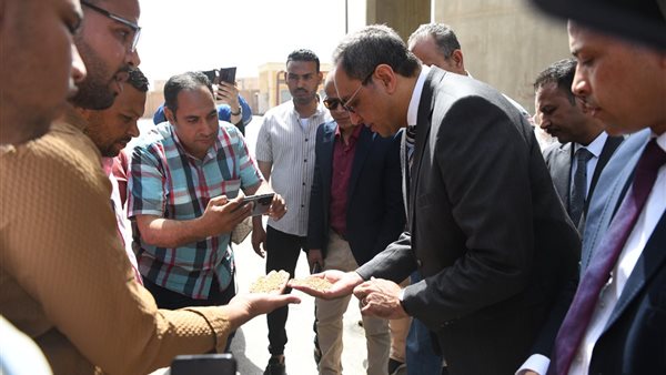 بدء توريد القمح 