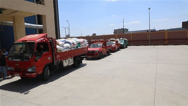 توريد القمح في المنوفية