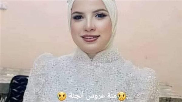 عروس المنيا 