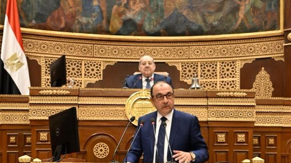 المهندس محمد شيمي