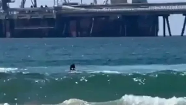 مصرع إسرائيلي بسبب