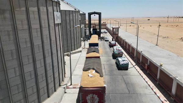 توريد محصول القمح