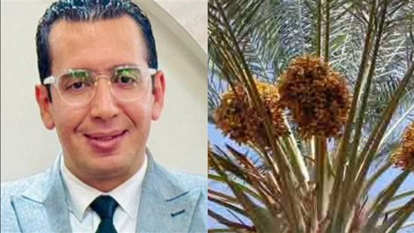 المحامي حسن يوسف