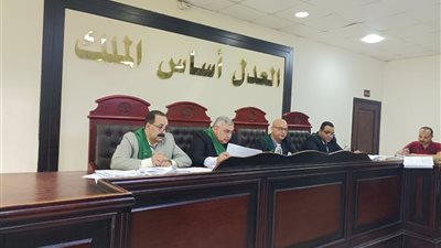 دفاعه طالب ببطلان الإجراءات.. تفاصيل جلسة محاكمة نجل عبد العزيز مخيون