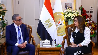 أبرزها الاستثمار وتوفير فرص عمل.. وزيرة التنمية المحلية تتابع مع محافظ الفيوم عدد من الملفات الخدمية والحيوية