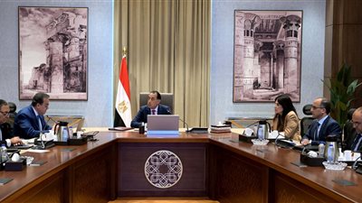 قرار عاجل من الحكومة بشأن التمويل اللازم لدعم وزيادة عدد غرف زراعة النخاع