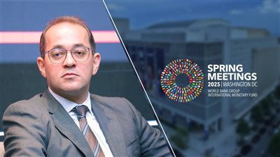 وزير المالية: خفض تكلفة التمويل بالبلدان النامية يسهم في توفير فرص استثمارية متنوعة