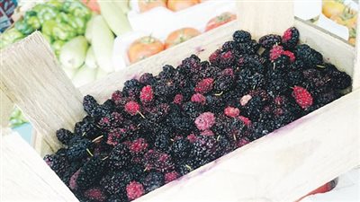 أبرزها التوت الأسود.. فواكه ضرورية خلال فصل الشتاء 