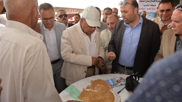 محافظ الدقهلية 