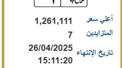 أنس وهبه.. لوحات مرور مميزة في مصر بأسعار تصل إلى 1،2 مليون جنيه