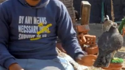 القبض على شابين بالقاهرة استخدما صقرين لتحصيل مبالغ مالية من المارة نظير التصوير معهما 