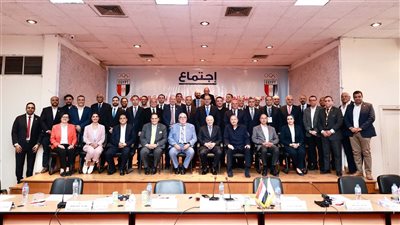 اعتماد فوز ياسر إدريس برئاسة اللجنة الأولمبية المصرية وكامل أعضاء المجلس بالإجماع 