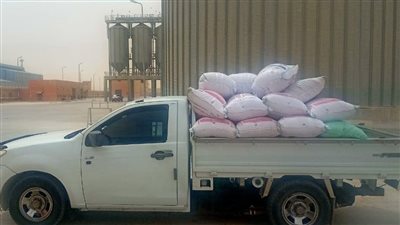 تموين السويس تعلن عن توريد 298 طن قمح إلى الصوامع