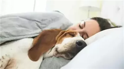 فوائد نفسية للنوم مع الحيوانات الأليفة.. تعرف عليها