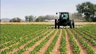 الأوقاف عن رفع القيمة الإيجارية للأراضي الزراعية: أصدرنا قرارا بالتعامل الرحيم