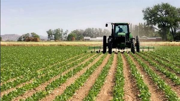 الأراضي الزراعية