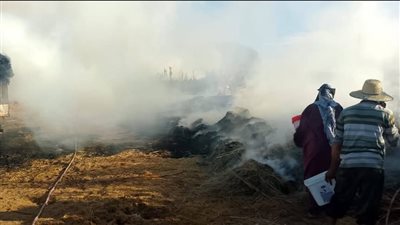 حريق يلتهم شون قمح في الوادي الجديد | صور