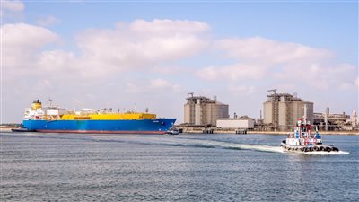 ميناء دمياط يستقبل 3785 رأس ماشية بإجمالي وزن 1123 طنا