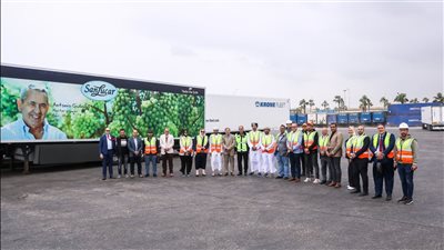 هيئة ميناء دمياط تستقبل وفدًا عمانيًا لبحث التعاون في مجال التحول الرقمي