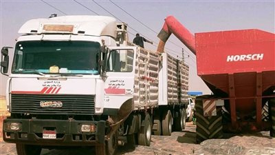 توريد 80 ألف طن قمح محلي لصوامع وشون أسوان
