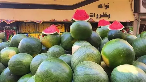 البطيخ في الأسواق
