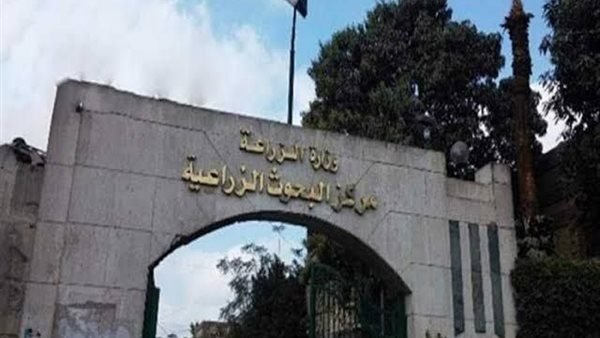 مركز البحوث الزراعية