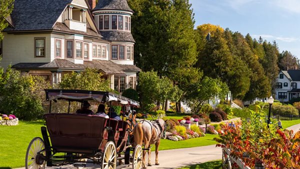 الجزيرة الأمريكية