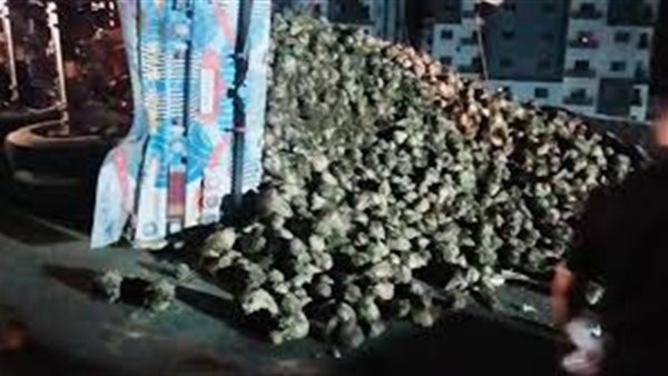 انقلاب سيارة - ارشيفية